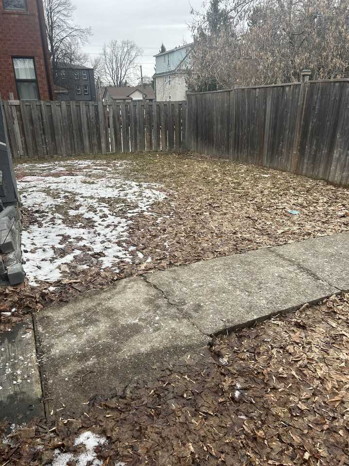 234 King St #3 - Photo 3 of 15