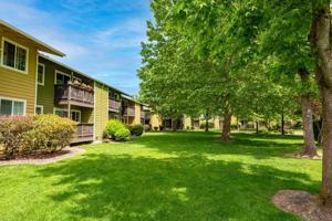 featured image of 750 Watson St N