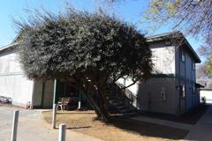 1325 S. Central - Photo 1 of 1