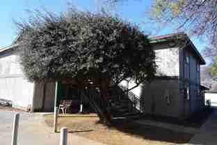 1325 S. Central - Photo 1 of 1