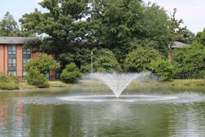 featured image of 6220 Springhill Drive