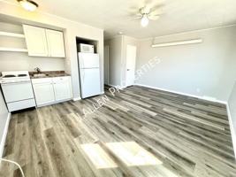 featured image of 127 West Norfolk Avenue #1