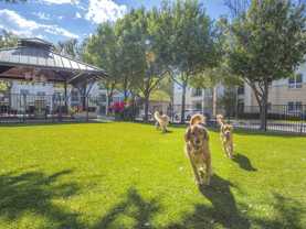 Pavilion Townplace at Inwood Village Apartments - Photo 1 of 1