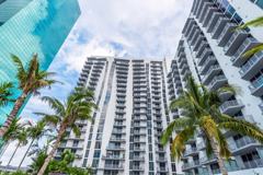 Monarc at Met - Photo 1 of 1