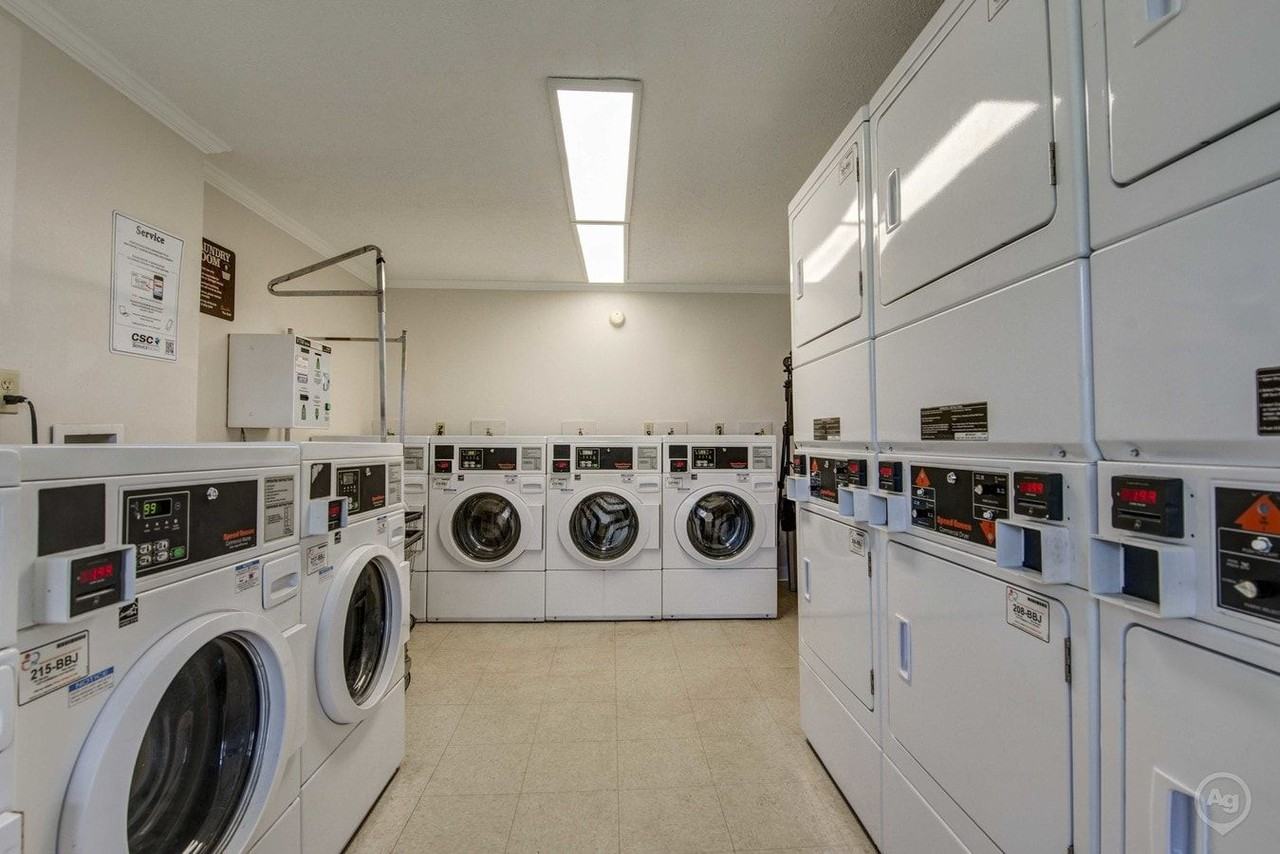 Treeborn Apartments - Photo 4 of 38