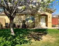 2974p -097.1- 712 Meadow Grove Ct. MG - Photo 1 of 1