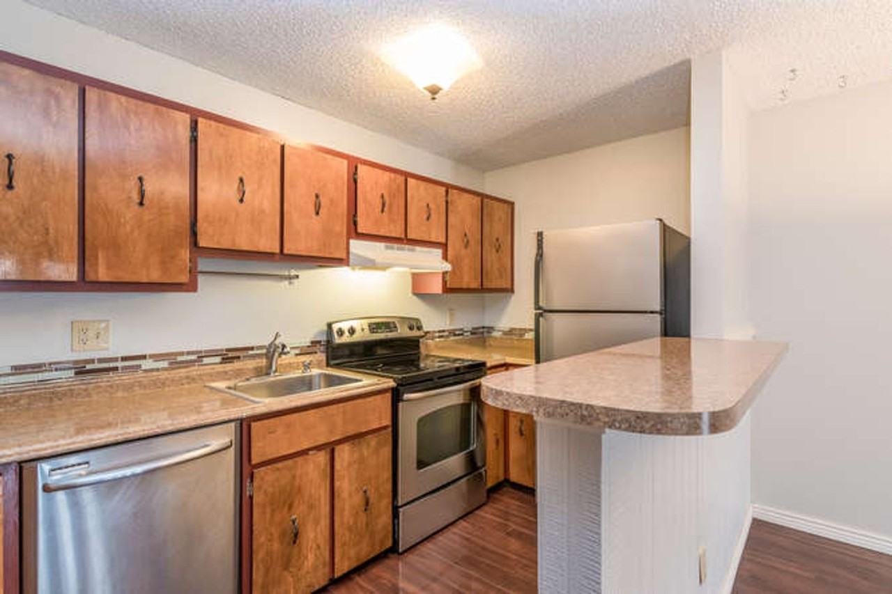 3120 Corona Trl #109 - Photo 7 of 21