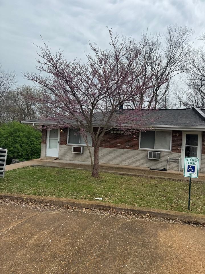 Fennec Fox Way LLC - Photo 2 of 12