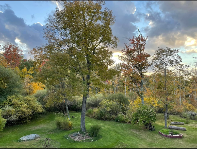 110 Treasure Hill Rd - Photo 2 of 31