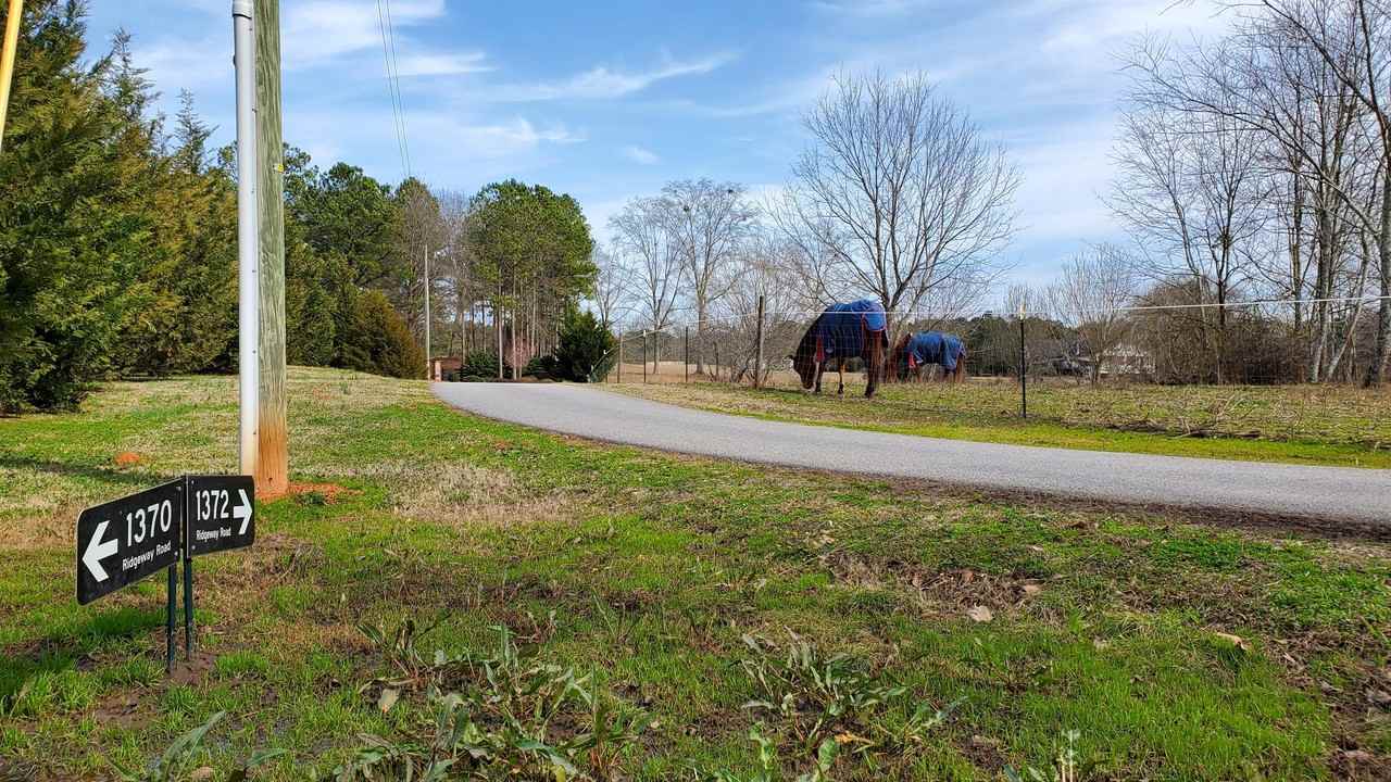 1370 Ridgeway Rd #1 - Photo 2 of 35