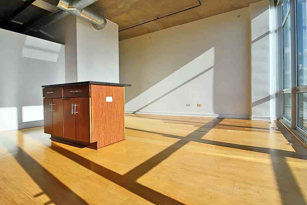 2138 S Indiana Ave #1-1LOFT - Photo 5 of 21