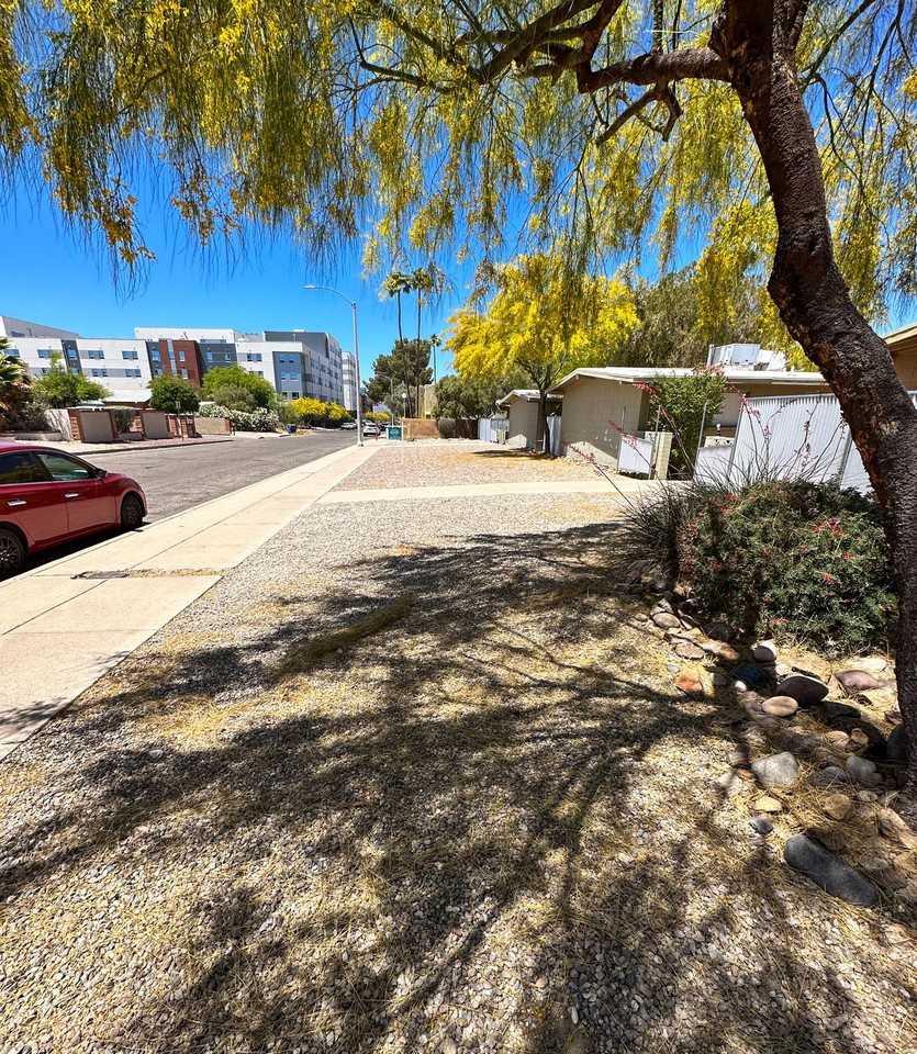 Drachman - Photo 2 of 11