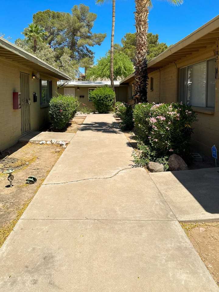 Drachman - Photo 4 of 11