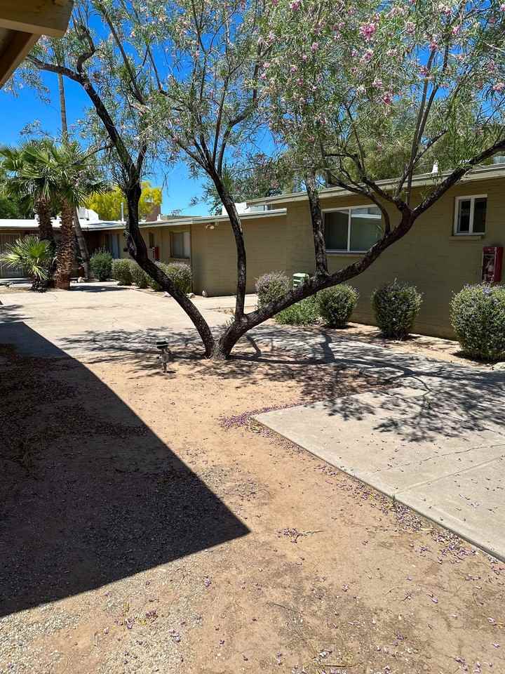 Drachman - Photo 5 of 11