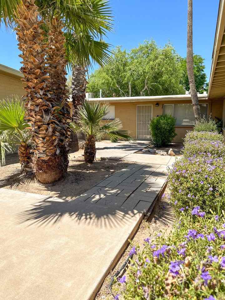 Drachman - Photo 6 of 11