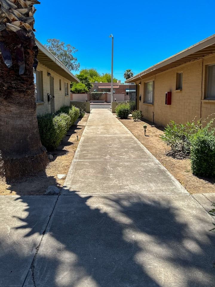 Drachman - Photo 7 of 11