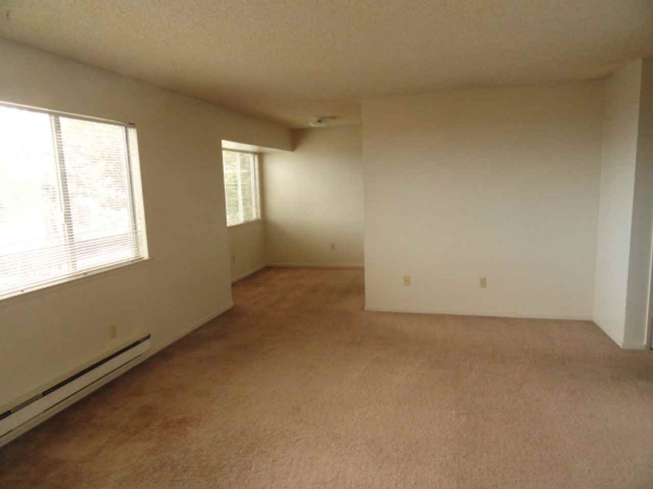 laur241 - Photo 3 of 3