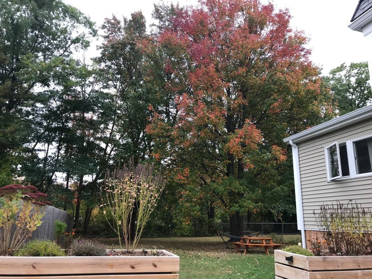 Walton St., Portland - Photo 3 of 13