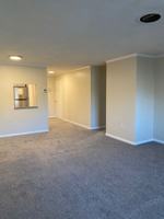 featured image of 55 David Ter