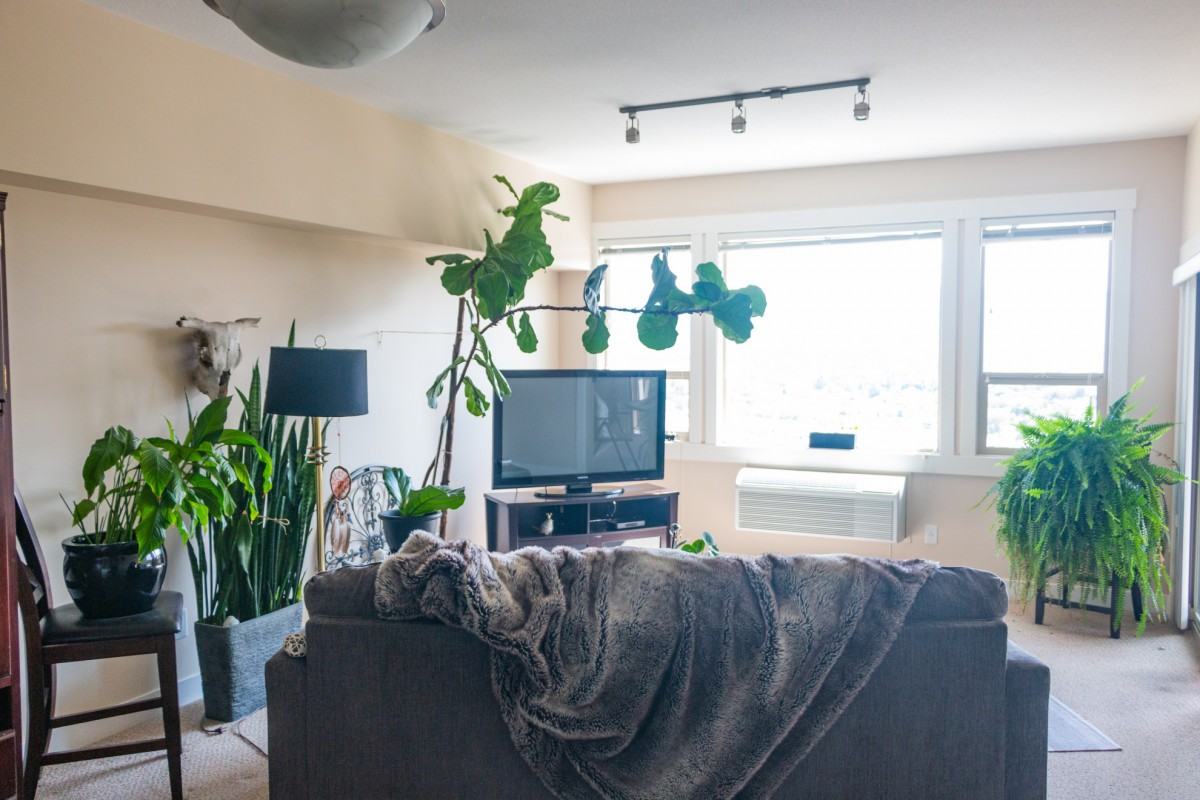 2515 Mount Baldy Dr - Photo 3 of 7