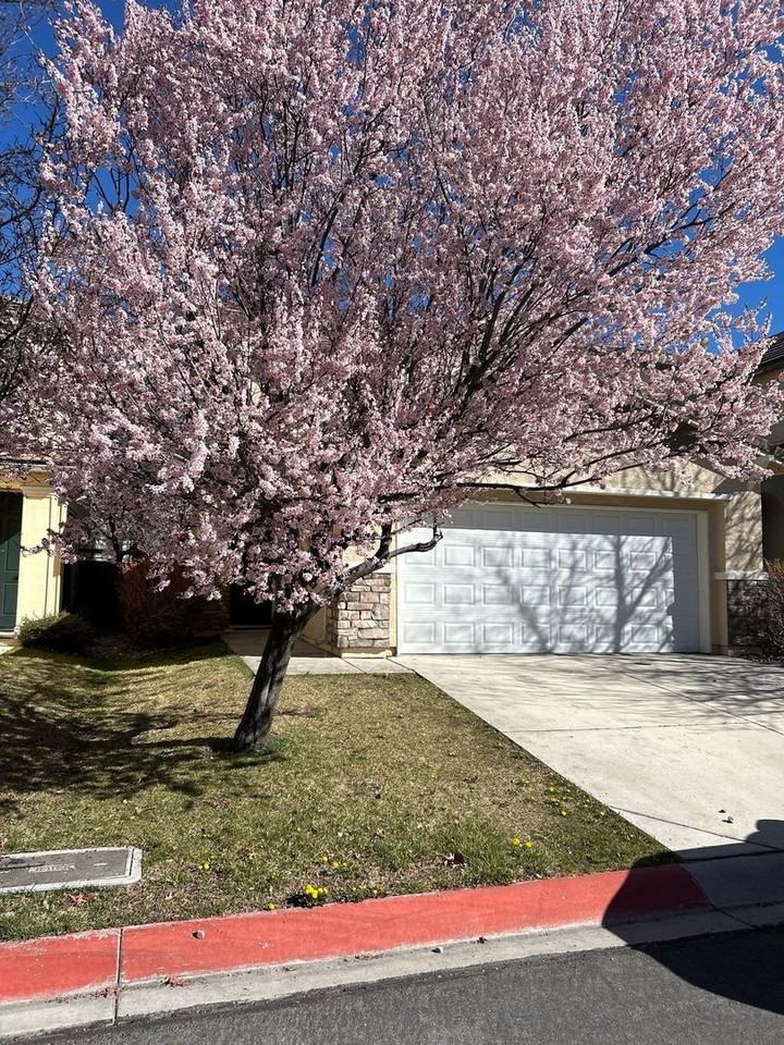 3988 Dominus Dr - Photo 3 of 22