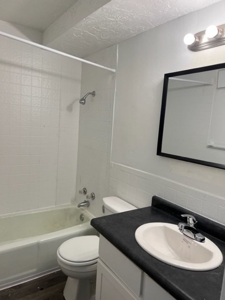 Updated apartment, washer and dryer hookups - Photo 3 of 6