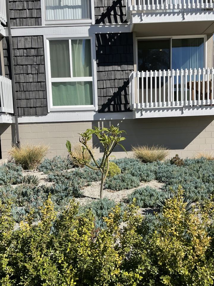 LUXURY LIVING AT AN AFFORDABLE PRICE - Photo 7 of 7