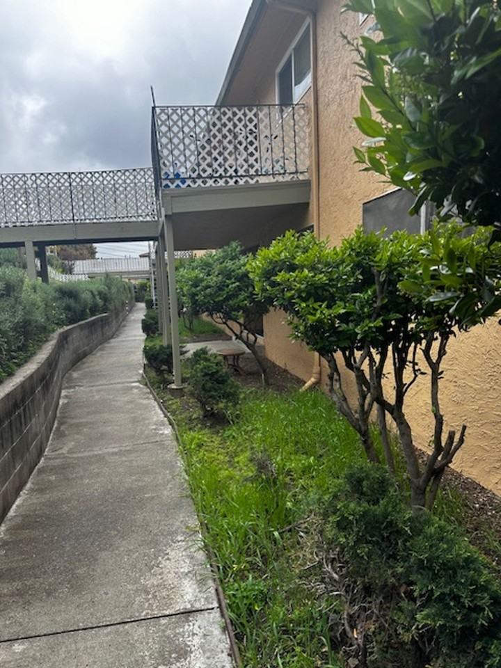 Amber Terrace - Photo 3 of 13