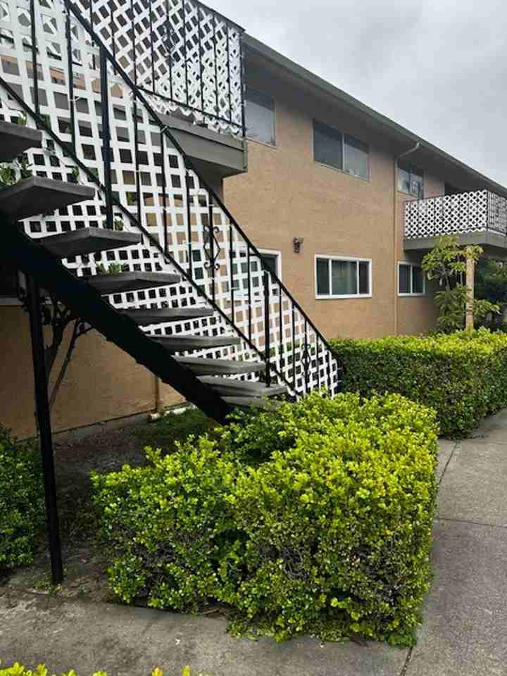 Amber Terrace - Photo 4 of 13