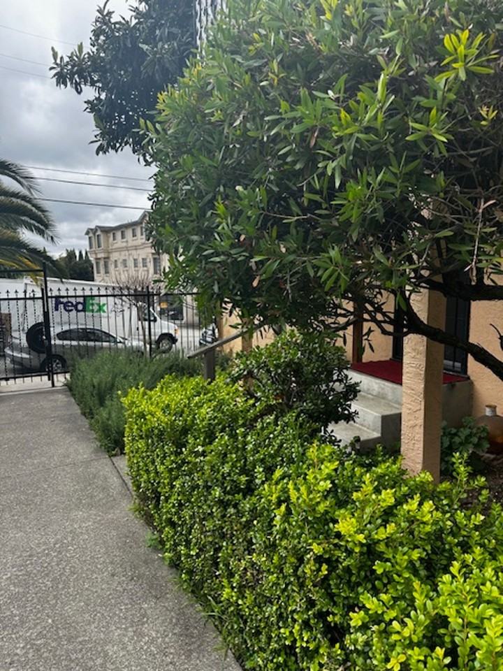 Amber Terrace - Photo 5 of 13