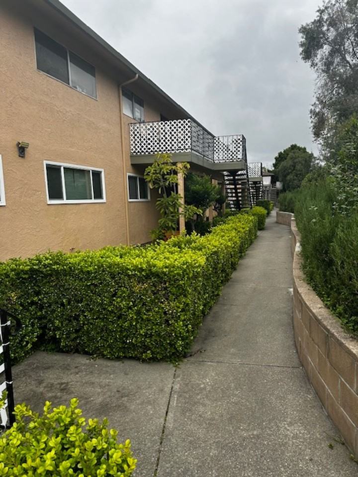 Amber Terrace - Photo 6 of 13