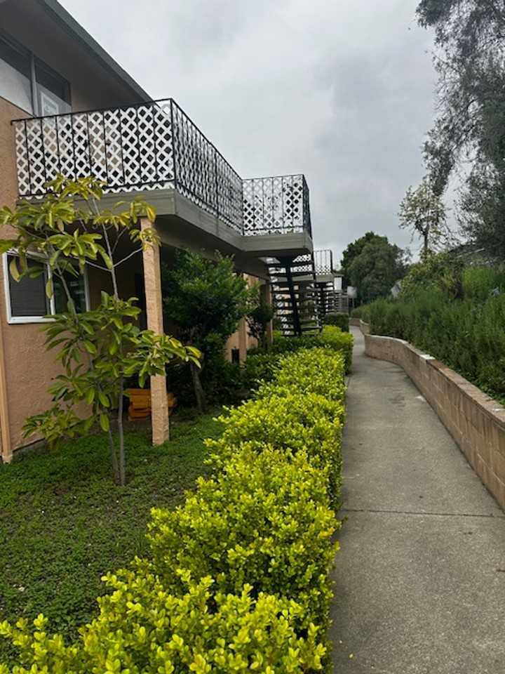 Amber Terrace - Photo 7 of 13