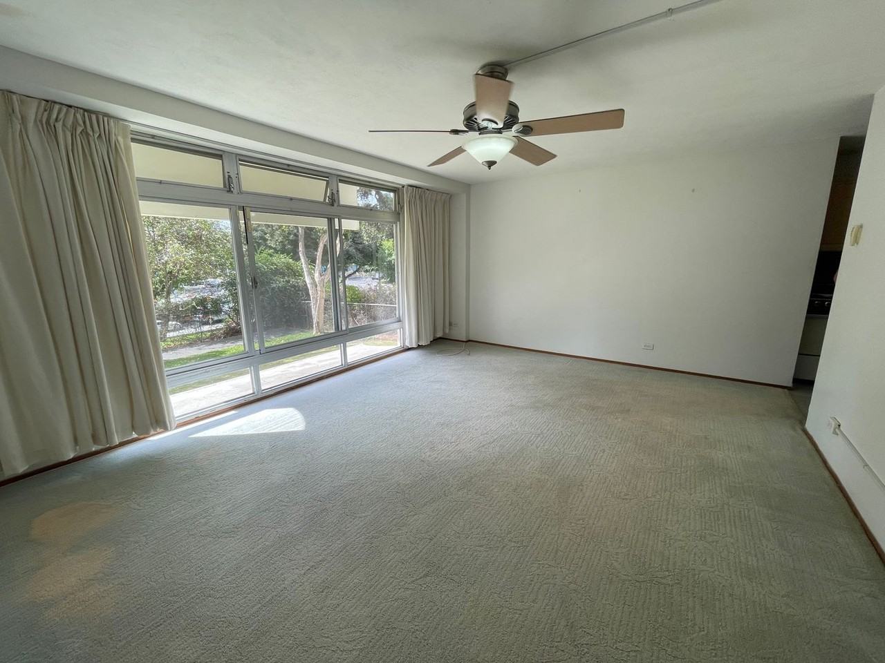 1511 Nuuanu Ave #235 - Photo 5 of 12