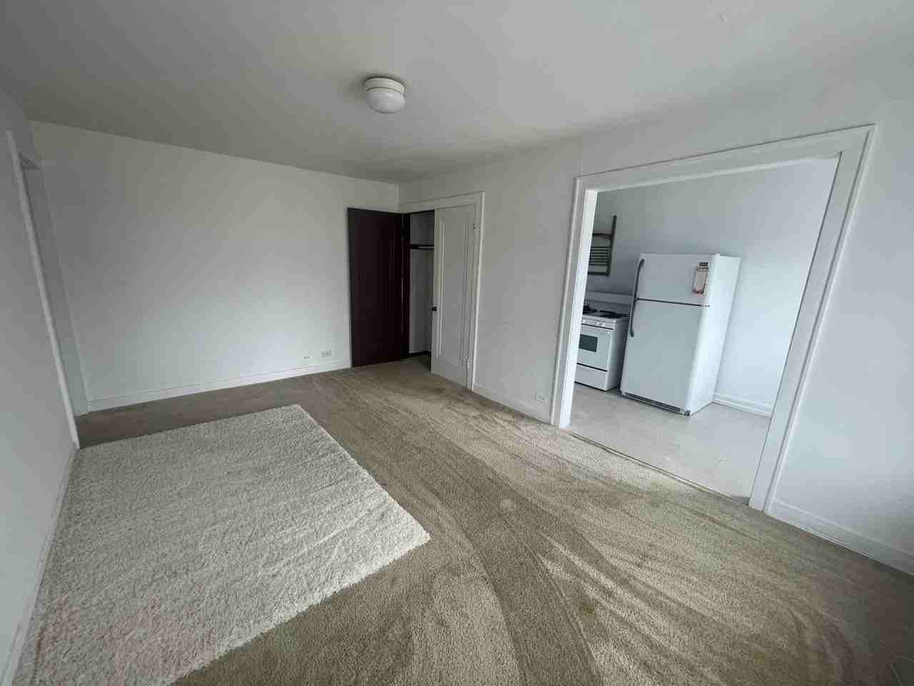 Heart of Arlington Heights! Steps away from Metra Station! - Photo 7 of 16