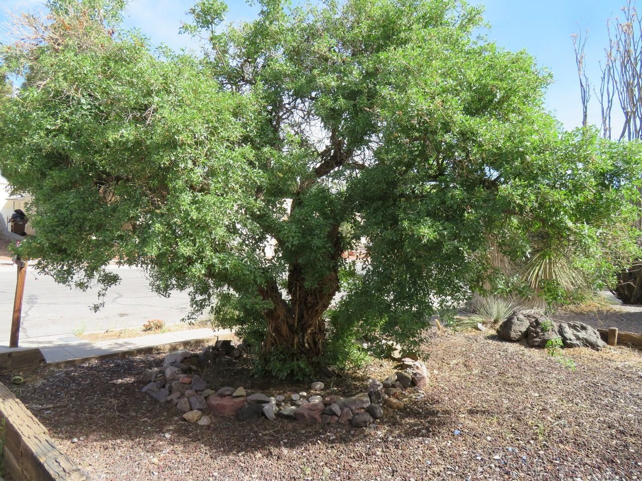 654 Rouault Ave - Photo 3 of 18