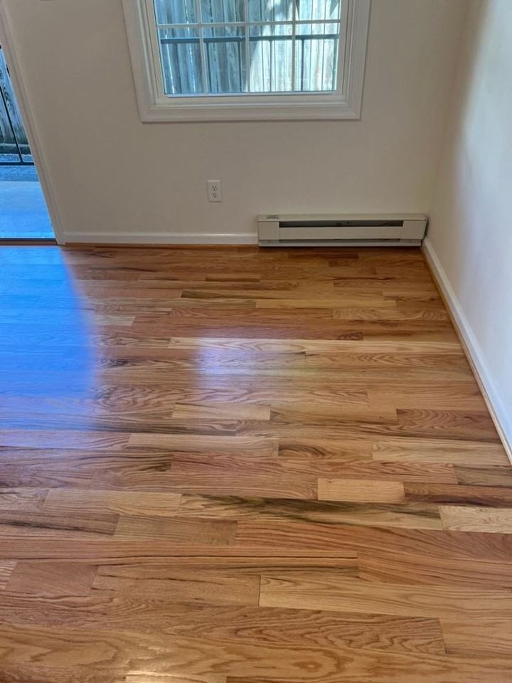 1204 Carlton Ave Apartments in Belmont, Charlottesville, VA 22902 Zumper