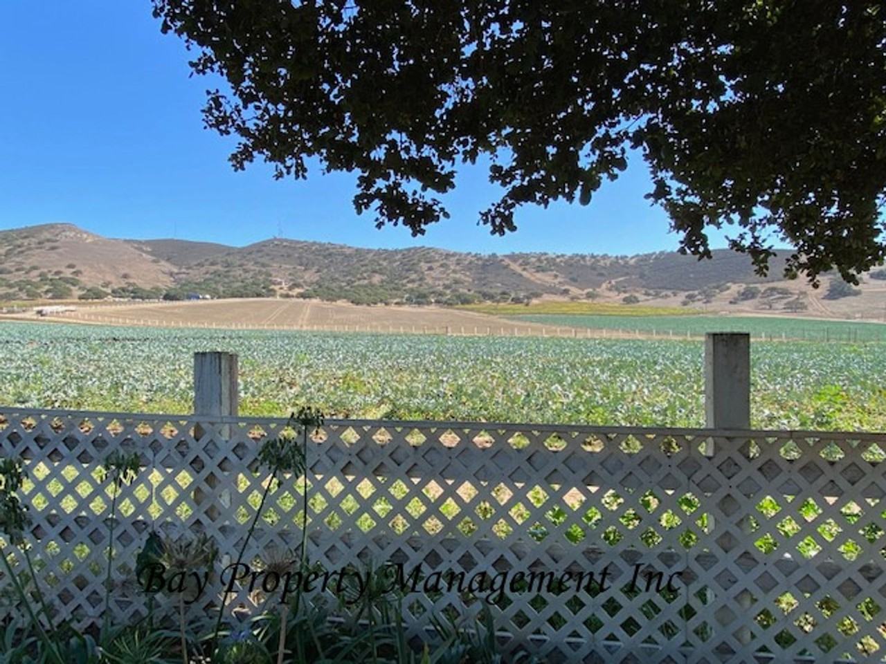 23806 Jacks Road - Photo 2 of 20