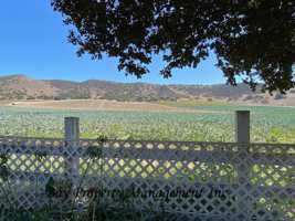 featured image of 23806 Jacks Rd