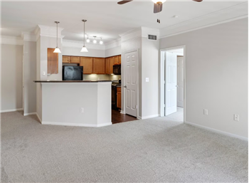 12 Tin Hall Rd #5009 - Photo 3 of 9