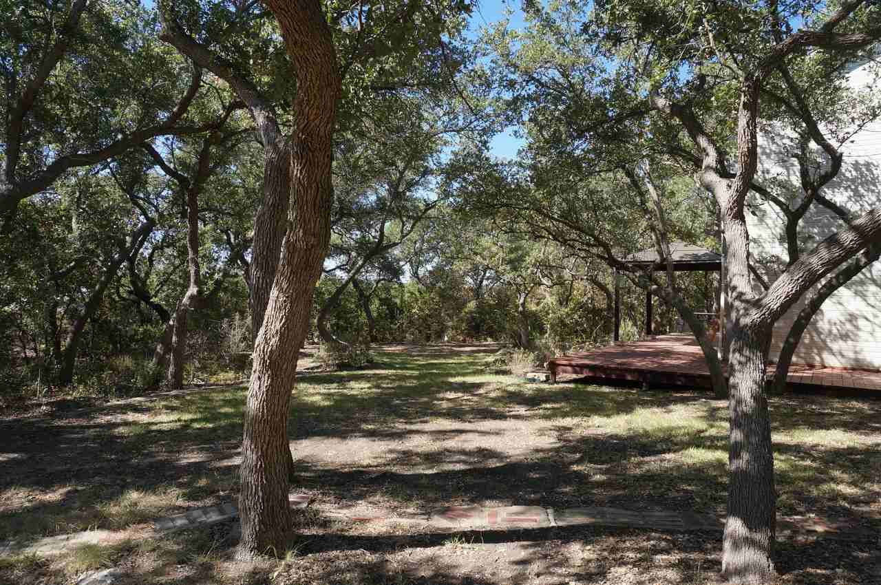12505 Painted Bunting Dr - Photo 3 of 10