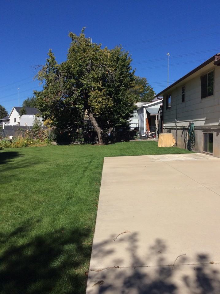 1054 S 680 W - Photo 3 of 14