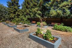 555 Elmira Rd - Photo 1 of 1