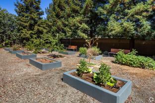 555 Elmira Rd - Photo 1 of 1