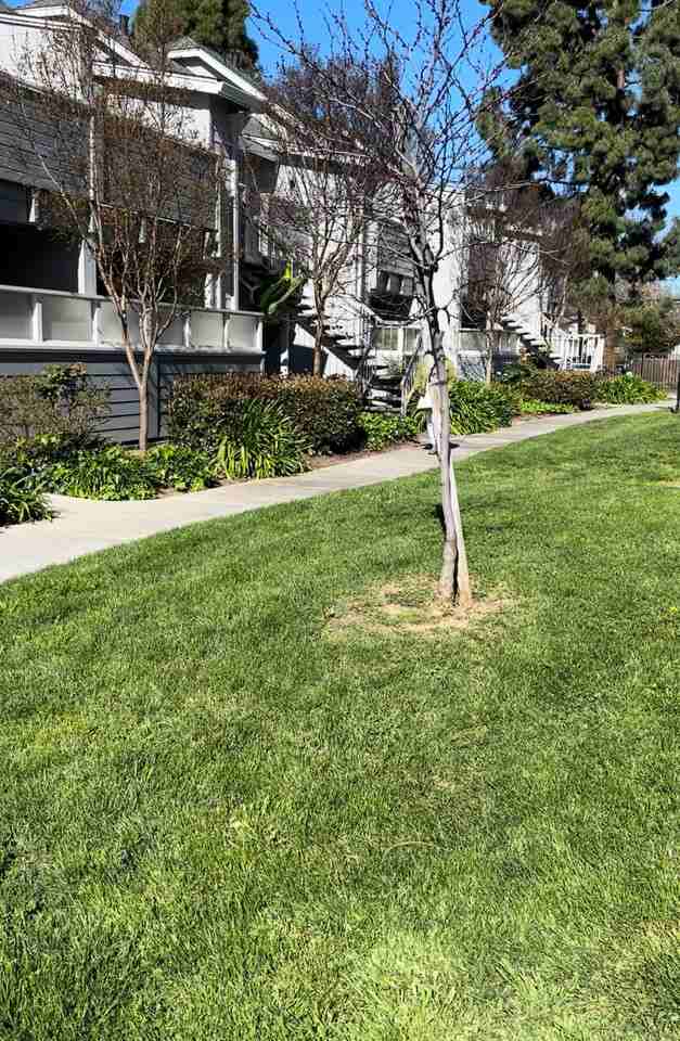 363 Shadow Run Dr #019 - Photo 3 of 8