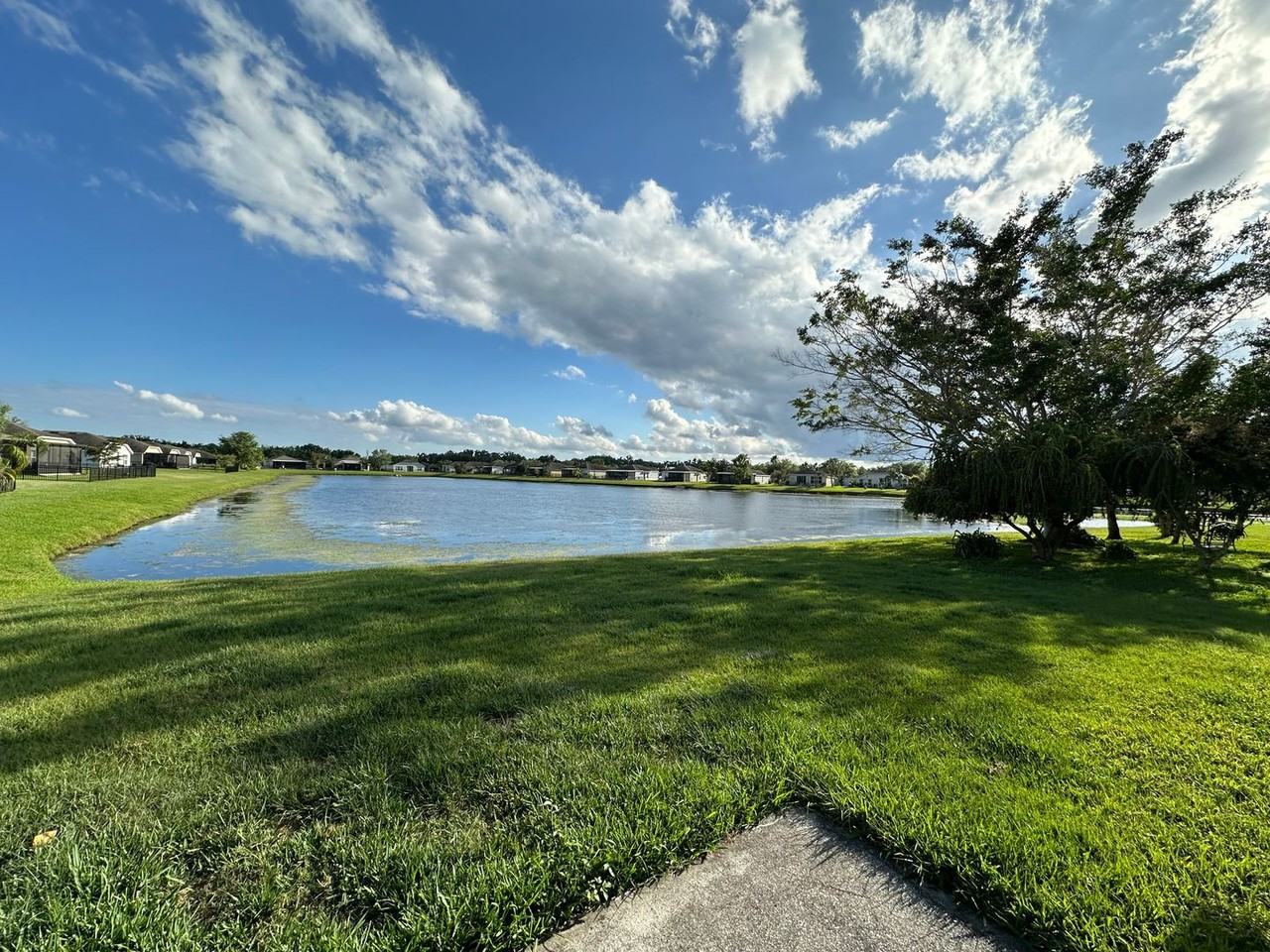 9772 50th Street Cir E - Photo 3 of 15