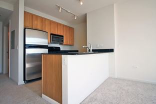 353 N Desplaines St - Photo 1 of 1