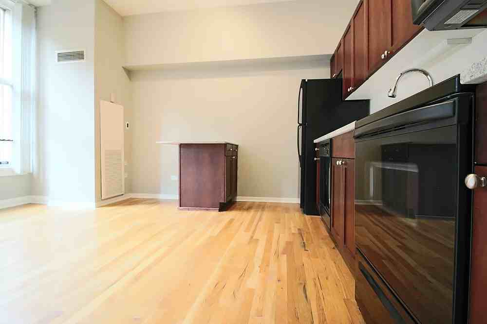 343 S Dearborn St #1-1 - Photo 4 of 16