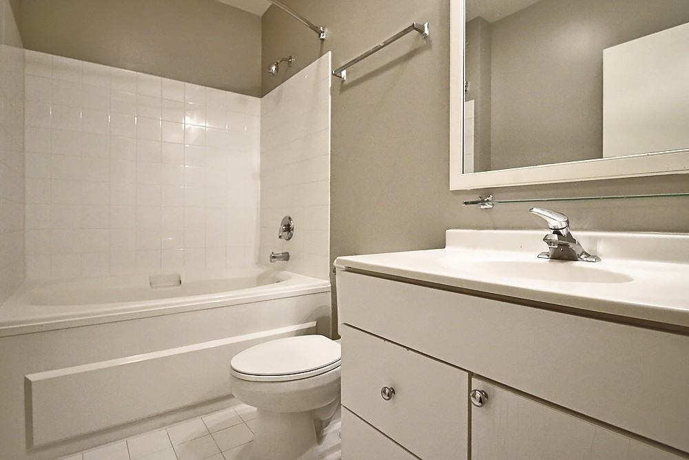 343 S Dearborn St #1-1 - Photo 6 of 16