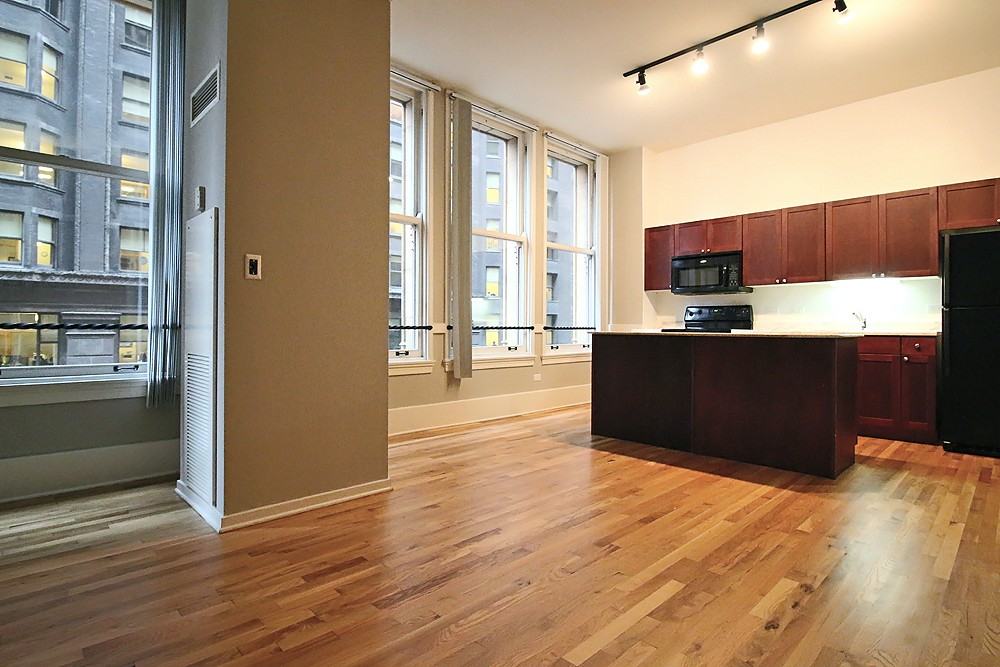 343 S Dearborn St - Photo 4 of 14