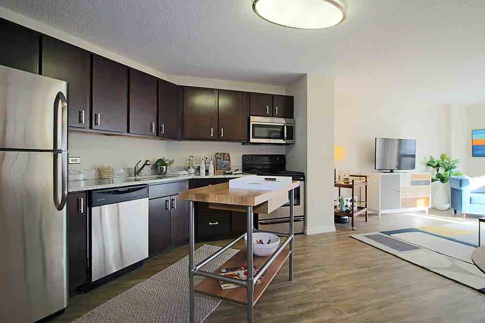8 W Chestnut St #1-1 - Photo 5 of 14